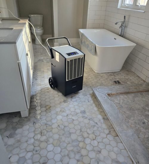 Dehumidifier in the bathroom to reduce moisture and prevent mold.